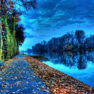 Meet your Posher, Mia